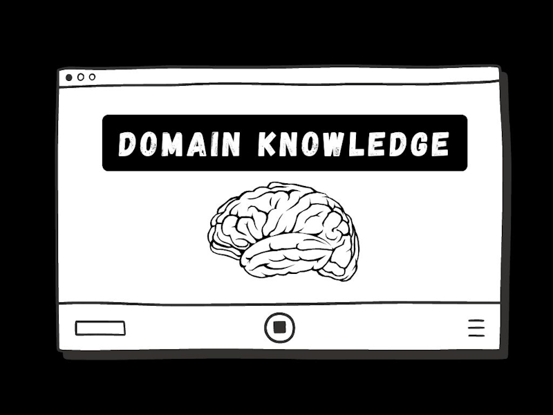 도메인 지식 (Domain Knowledge)
