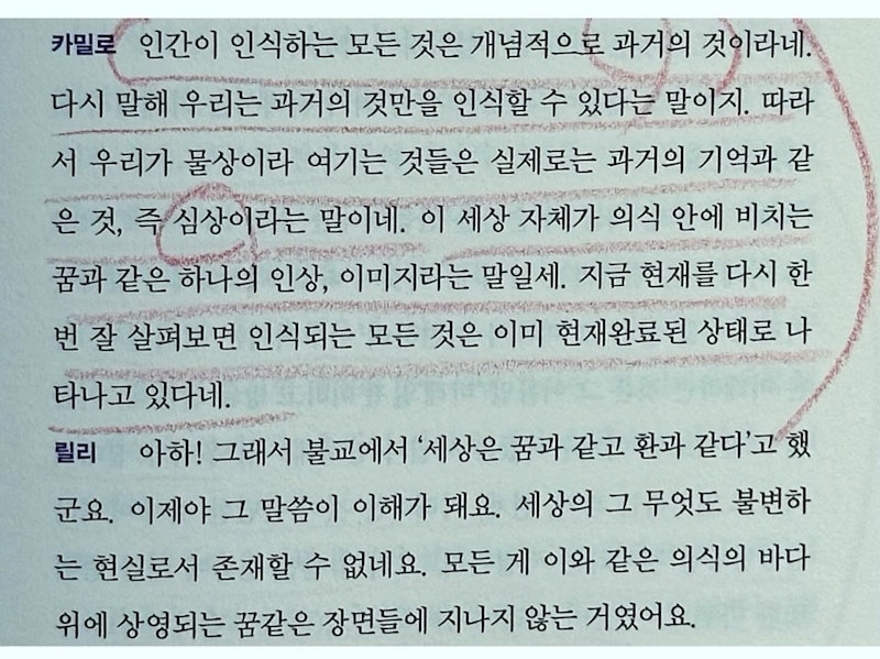 < 지금 이 순간도 사실 과거다 : 인식의 비밀 >