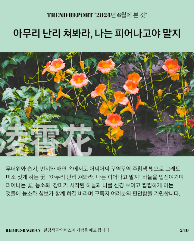 ⟪레드버스백맨 뉴스레터 📮⟫