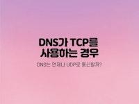 DNS가 TCP를 사용하는 경우