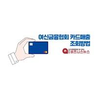 여신금융협회 카드매출 조회방법 - 10초만에 모든 카드내역 확인하기 - Micro Business In Asia