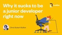 Why it sucks to be a junior developer right now