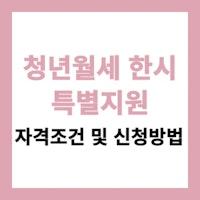 청년월세 한시 특별지원 신청 및 자격 조건 (20만원씩 12개월) - 부동산 가이드