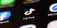 Tech, Financial Firms Eye Ways to Save TikTok’s U.S. Operations From Ban 