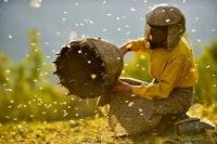 A Documentary About Beekeepers Just Made Oscar History
