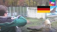 독일 동물원, 관람객 끊기자..."700마리 순서대로 안락사"