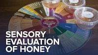 2019 Sensory Evaluation of Honey