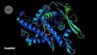 ‘It will change everything’: DeepMind’s AI makes gigantic leap in solving protein structures