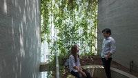 Plant curtain drapes over Breathing House by Vo Trong Nghia Architects