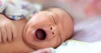 Finland sees leap in births