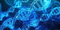 커뮤니티의 DNA 설계하기 - 핵심행동은? 가치는?
